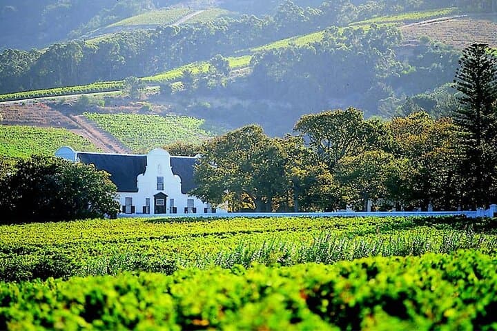 Cape Wine Experience Full-Day Tour!