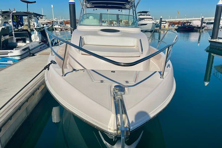Private Small-Group Dubai Marina Boat Tour