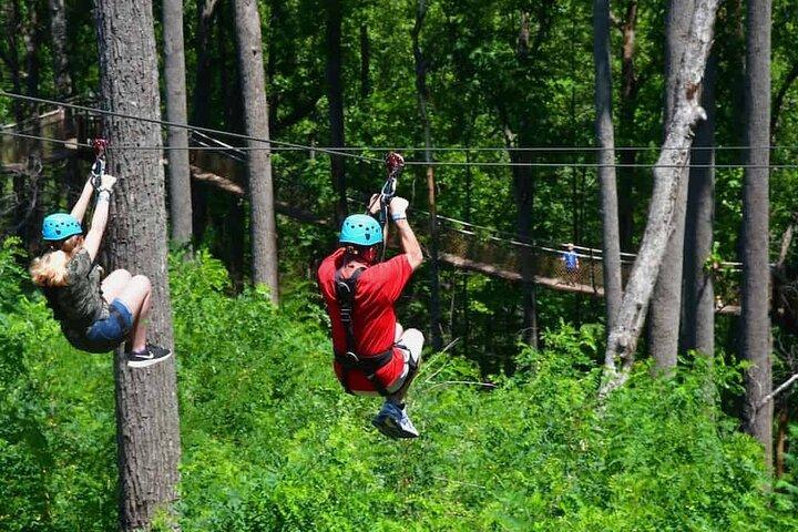 Day Trip to Kereita Forest and Ziplining