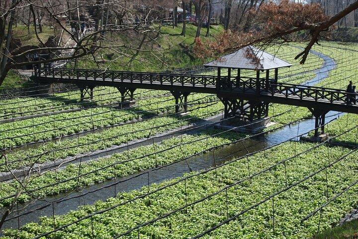 Matsumoto Private One Day Tour from Nagano