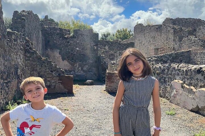 Best Pompeii Private Tour from Naples Port or Hotel Pick Up