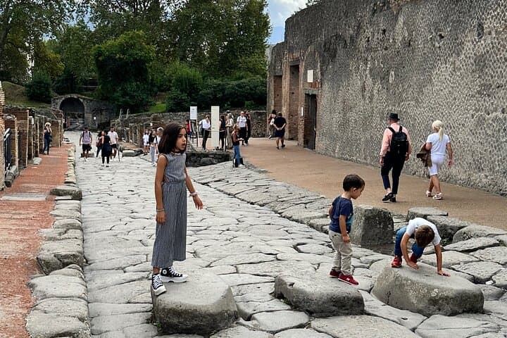 Best Pompeii Private Tour from Naples Port or Hotel Pick Up