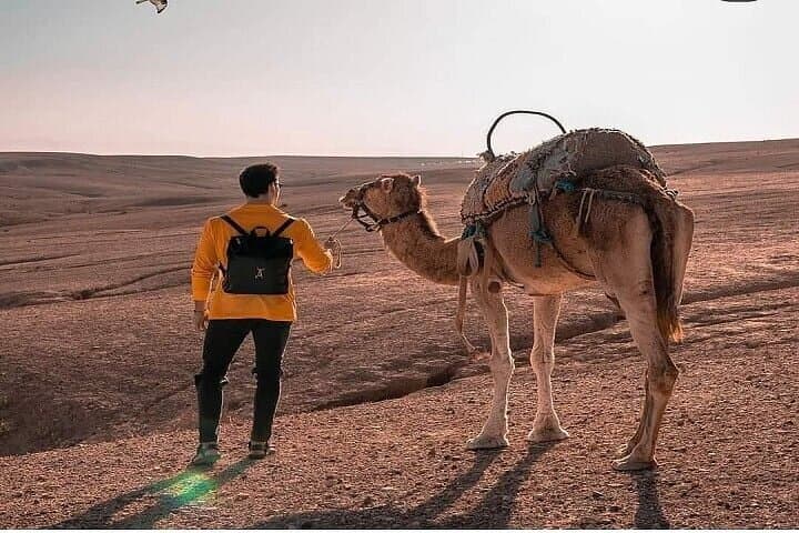 Sunset & Camel Ride & Dinner in Desert Agafay Marrakech