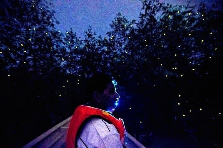 Kuala Selangor Firefly Tour from Kuala Lumpur with Hotel Pickup