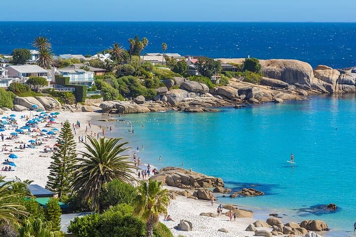 Table Mountain, Cape Point & Penguin Beach ENTRANCE INCLUDED