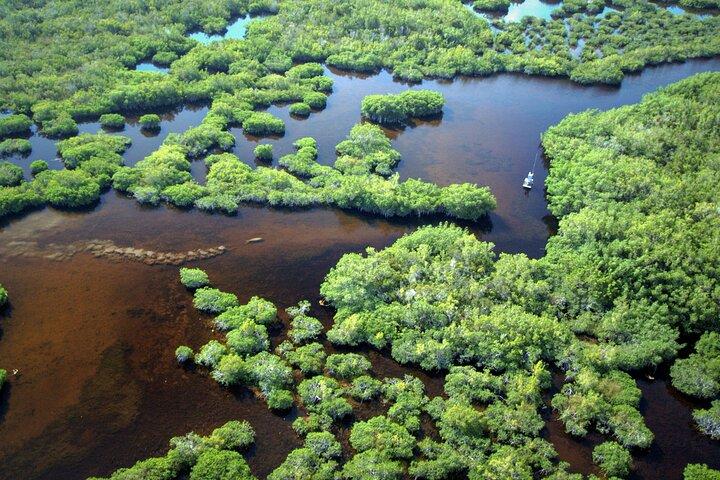 Everglades National Park Boat Tour