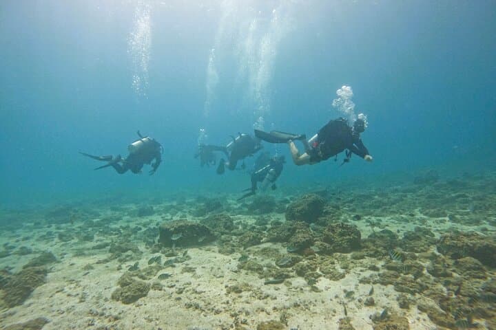 2 Dives for Certified Divers in Fujairah with transfer