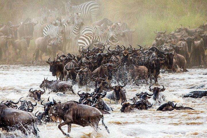 4 Days in the Wild: Explore Cultural Tour, Serengeti & Ngorongoro