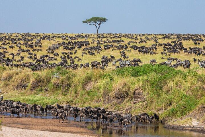 4 Days in the Wild: Explore Cultural Tour, Serengeti & Ngorongoro