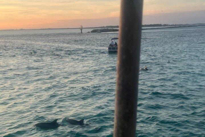 Dolphin & Sunset Cruises