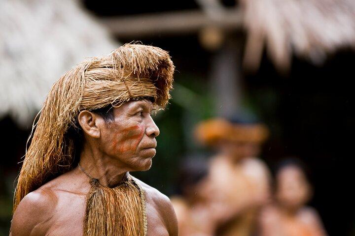 Puerto Maldonado: Jungle Experience - 4D/3N inside Rainforest