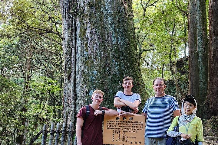 Himeji Castle Half-Day Customized Tour with Licensed Guide
