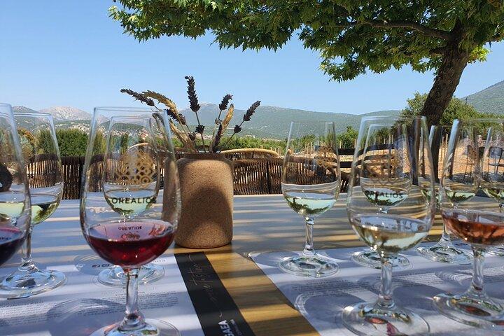 Kefalonia Wine Adventure with 18 Wine Tastings in 3 Wineries