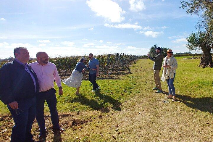 Uruguay Winery Visit and lunch with Wines!