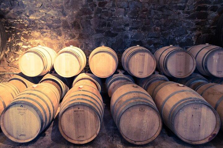 Uruguay Winery Visit and lunch with Wines!