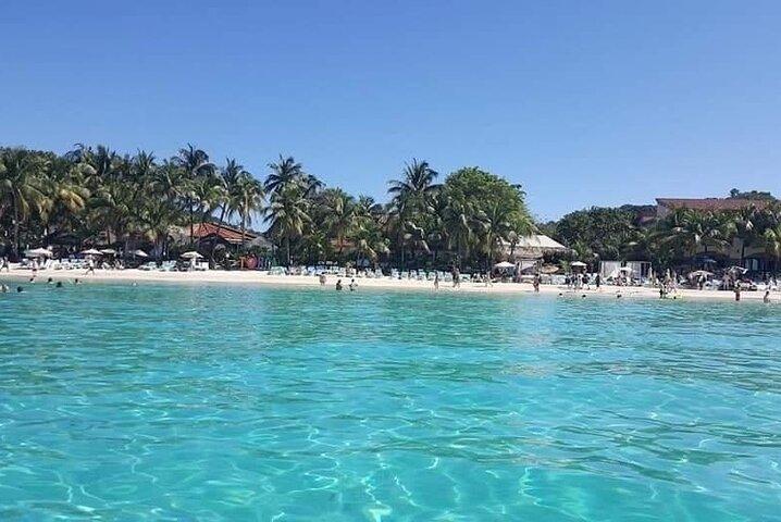 Roatan Sloth & Monkey Encounter, Chocolate & Rum + Beach Break
