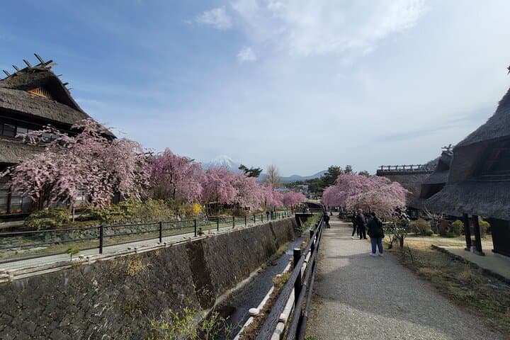 Mt Fuji Day Tour by Car With English Speaking Chauffeurs