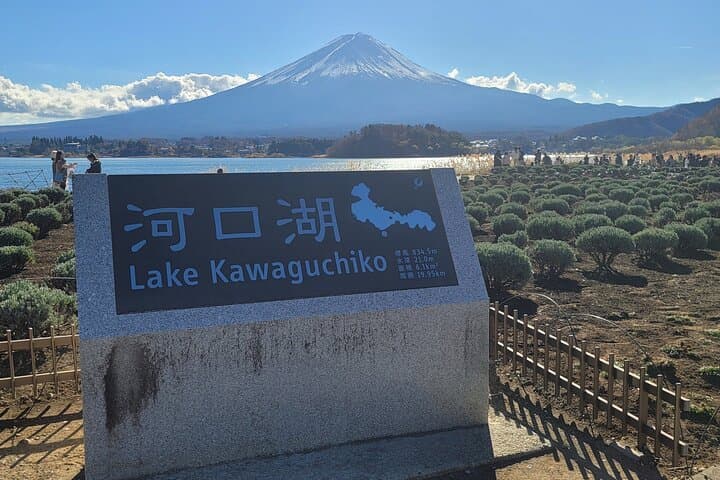 Mt Fuji Day Tour by Car With English Speaking Chauffeurs