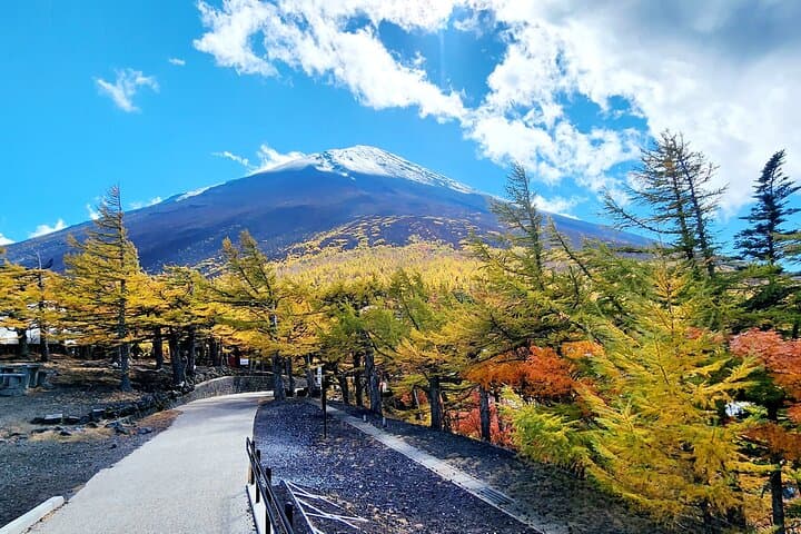 Mt Fuji Day Tour by Car With English Speaking Chauffeurs