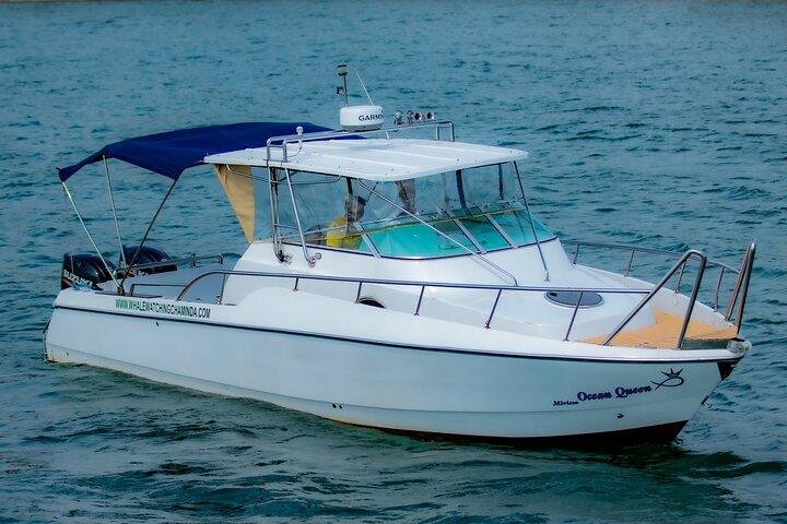 Mirissa Private Whale Watching Trip on a Super Luxury Yacht