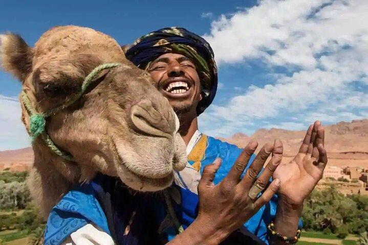 12 Days Morocco tour from Casablanca or Marrakech