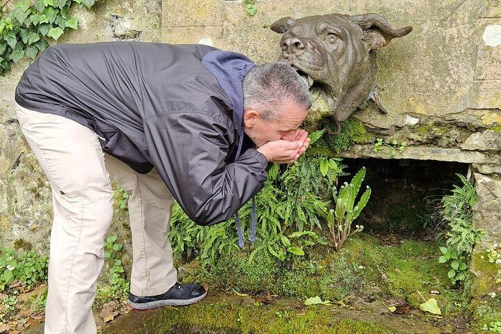 Private Tour to Belleau Wood The Devil Dogs & their Epic Battle