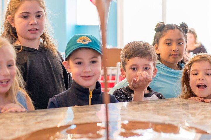 1 Hour Chocolate Bar Class in Jacksonville