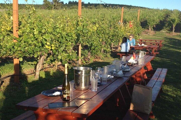 Tuscany: Chianti Semi-Private Wine Tasting and Dinner in Vineyard
