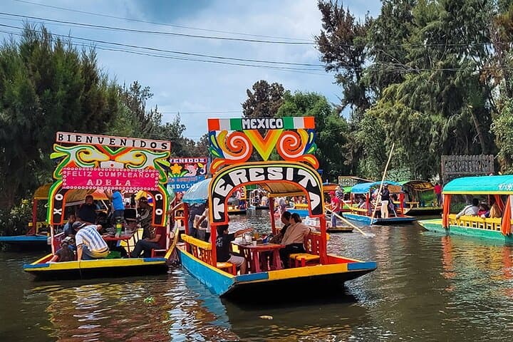 Mexico City: Xochimilco, Coyoacán and University City Tour
