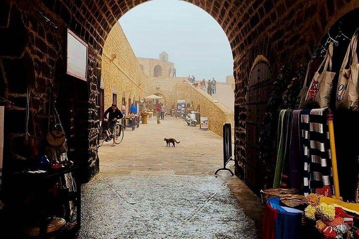 Essaouira city day trip from Marrakech