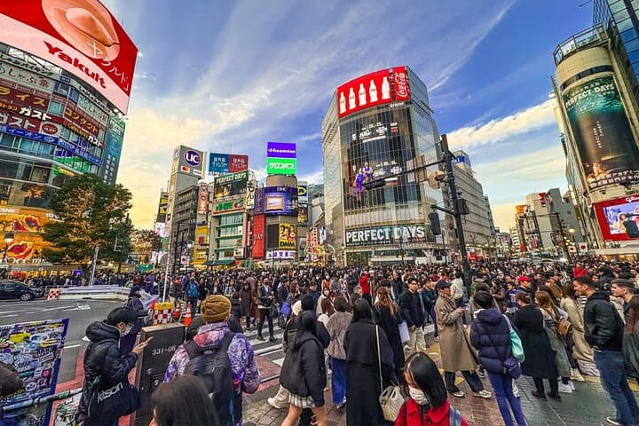 Tokyo in 6 Hours: Private Subway Tour with Licensed English Guide