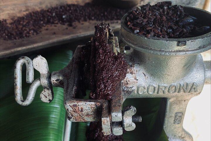 7 Hours Chocolate Making at Bribri Talamanca with Swimming