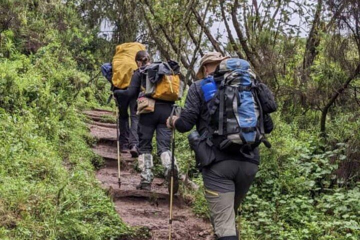 Lemosho Route 8 Days Kilimanjaro Climbing Tour