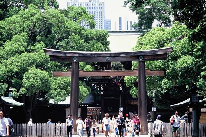 Private Full-day Tokyo Walking Subway Tour by Japan Gray Line