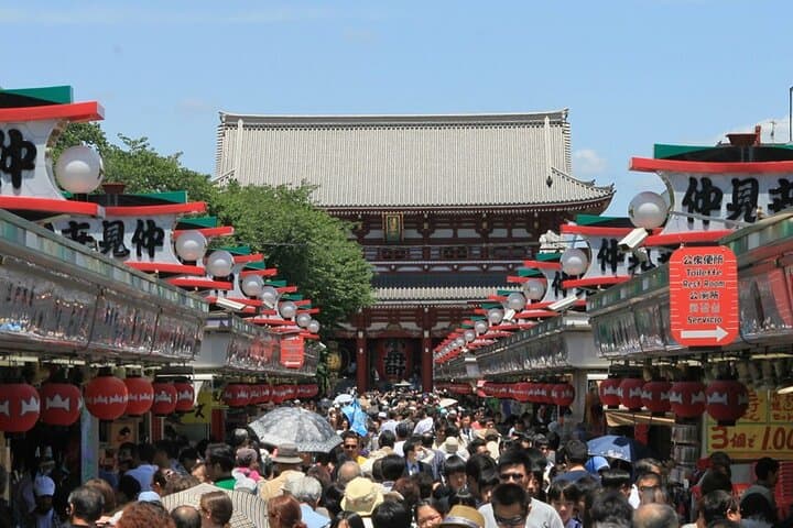 Tokyo Private Guided 1/2-Day Walking Subway Tour English guide