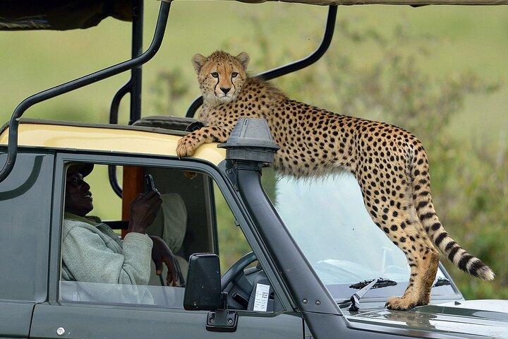 4 Days Masai Mara Safari with Women Empowerment Center Visit