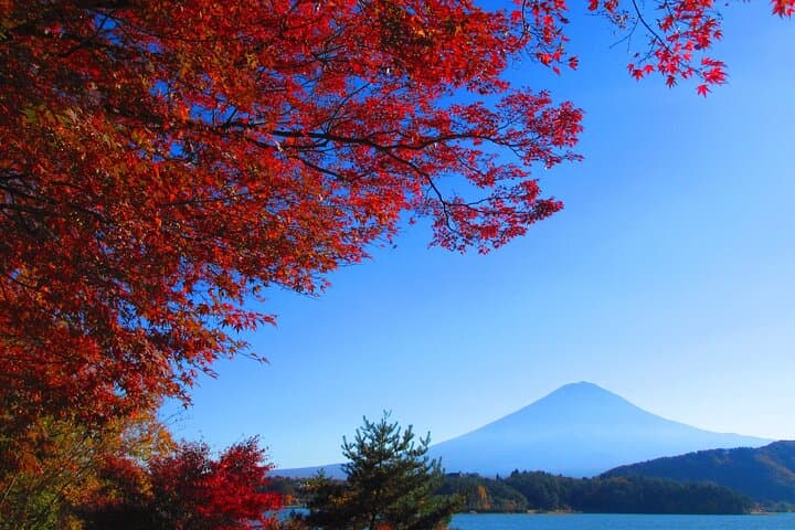 Mt Fuji Views, Fruit Picking and Ropeway Experience Day Tour