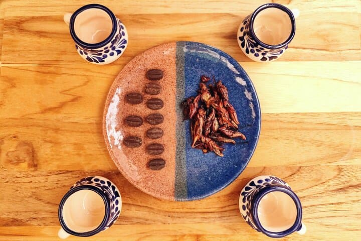 Private Lucha Libre : Mezcal tasting, Taco Tour or Mexican candy