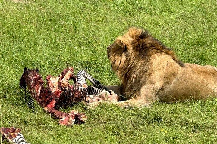 3 Days 2 Nights Masai Mara Road Transport Safari