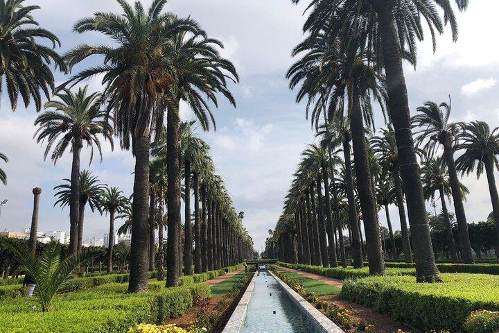 Casablanca and Morocco Shared Walking Tour with Licensed Guide