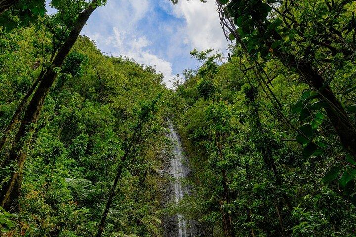 Diamond Head and Manoa Falls Hike and Adventure Tour