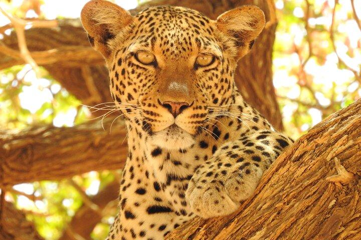 4 Day Private Tour in Tanzania