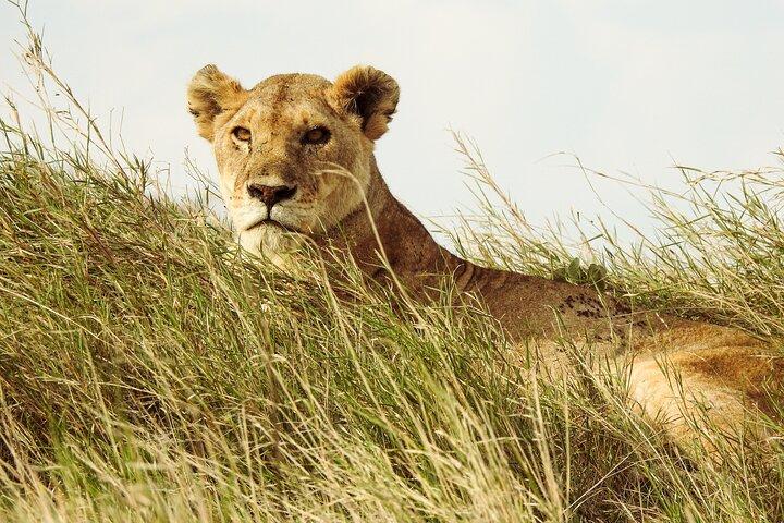 4 Day Private Tour in Tanzania