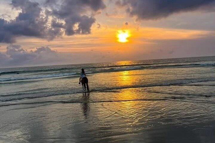 Seminyak Bali Horse Back Riding private experiance