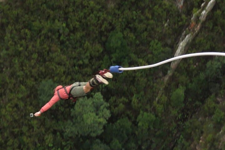 2-day Private Garden Route Tour from Cape Town