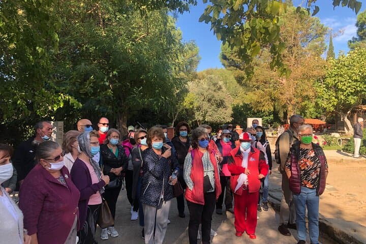 Highlights of Ephesus Tour from Izmir Port / Cruisers only
