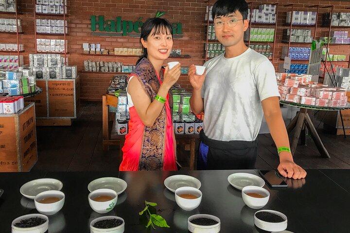 Halpewatte Tea Factory Tour in Ella Sri Lanka