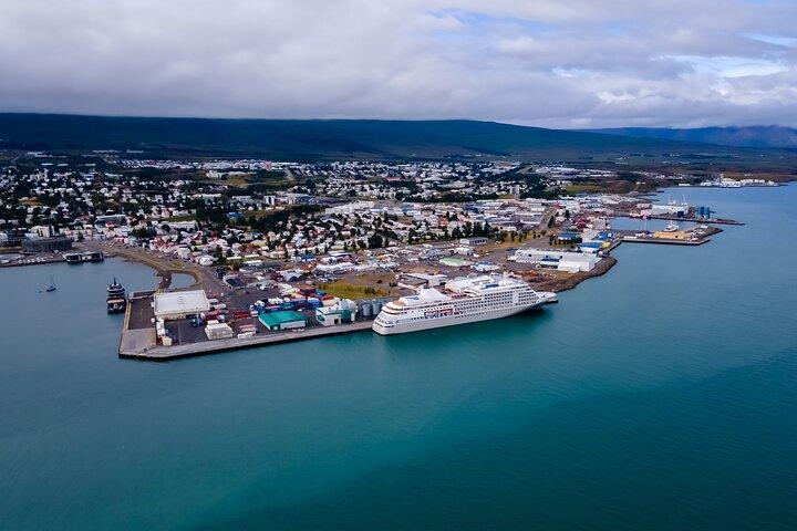 Whale Watching Tour from Akureyri City Central