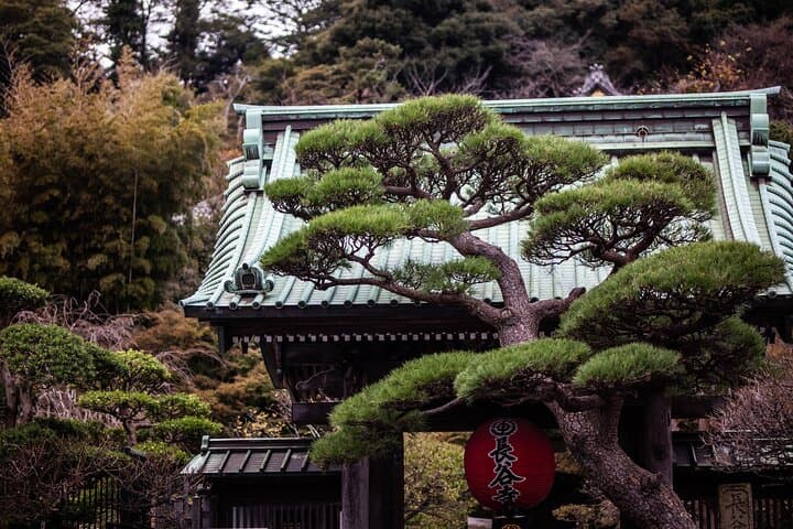 Kamakura Full-Day Private Tour from Tokyo (Customizable)