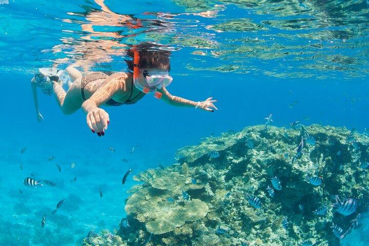 Ras Mohamed & White Island Diving & Snorkeling – Sharm El Sheikh